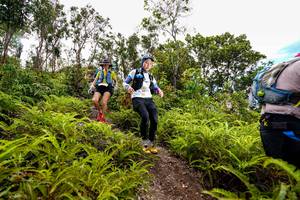 BIB: 
                            <button type="button" onclick="openModal(18439833)" class="btn btn-primary btn-sm float-right btn-popup" data-toggle="modal" data-target=".modal-high-quality">
                        <i class="fas fa-shopping-cart"></i> Add to Cart
                    </button>
                                            <button type="button" onclick="isThisMe(18439833, true)" class="btn btn-success btn-sm float-right btn-popup btn-isme hidden" data-toggle="tooltip" data-placement="bottom" title="นี่คือรูปของคุณใช่ไหม คลิกที่นี่เพื่อเอาเข้าอัลบั้ม">
                        <i class="fas fa-plus"></i> Add to album
                    </button>
                    <button type="button" onclick="isThisMe(18439833, false)" class="btn btn-warning btn-sm float-right btn-popup btn-isnotme hidden">
                        <i class="fas fa-ban"></i> Remove from album
                    </button>