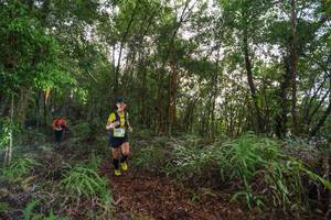 BIB: 
                            <button type="button" onclick="openModal(18403436)" class="btn btn-primary btn-sm float-right btn-popup" data-toggle="modal" data-target=".modal-high-quality">
                        <i class="fas fa-shopping-cart"></i> Add to Cart
                    </button>
                                            <button type="button" onclick="isThisMe(18403436, true)" class="btn btn-success btn-sm float-right btn-popup btn-isme hidden" data-toggle="tooltip" data-placement="bottom" title="นี่คือรูปของคุณใช่ไหม คลิกที่นี่เพื่อเอาเข้าอัลบั้ม">
                        <i class="fas fa-plus"></i> Add to album
                    </button>
                    <button type="button" onclick="isThisMe(18403436, false)" class="btn btn-warning btn-sm float-right btn-popup btn-isnotme hidden">
                        <i class="fas fa-ban"></i> Remove from album
                    </button>