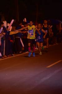 BIB: 44383
                            <button type="button" onclick="openModal(10629524)" class="btn btn-primary btn-sm float-right btn-popup" data-toggle="modal" data-target=".modal-high-quality">
                        <i class="fas fa-shopping-cart"></i> Add to Cart
                    </button>
                                            <button type="button" onclick="isThisMe(10629524, true)" class="btn btn-success btn-sm float-right btn-popup btn-isme hidden" data-toggle="tooltip" data-placement="bottom" title="นี่คือรูปของคุณใช่ไหม คลิกที่นี่เพื่อเอาเข้าอัลบั้ม">
                        <i class="fas fa-plus"></i> Add to album
                    </button>
                    <button type="button" onclick="isThisMe(10629524, false)" class="btn btn-warning btn-sm float-right btn-popup btn-isnotme hidden">
                        <i class="fas fa-ban"></i> Remove from album
                    </button>