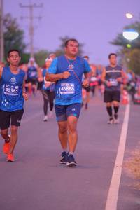 BIB: 45886, 40385
                            <button type="button" onclick="openModal(10655330)" class="btn btn-primary btn-sm float-right btn-popup" data-toggle="modal" data-target=".modal-high-quality">
                        <i class="fas fa-shopping-cart"></i> Add to Cart
                    </button>
                                            <button type="button" onclick="isThisMe(10655330, true)" class="btn btn-success btn-sm float-right btn-popup btn-isme hidden" data-toggle="tooltip" data-placement="bottom" title="นี่คือรูปของคุณใช่ไหม คลิกที่นี่เพื่อเอาเข้าอัลบั้ม">
                        <i class="fas fa-plus"></i> Add to album
                    </button>
                    <button type="button" onclick="isThisMe(10655330, false)" class="btn btn-warning btn-sm float-right btn-popup btn-isnotme hidden">
                        <i class="fas fa-ban"></i> Remove from album
                    </button>