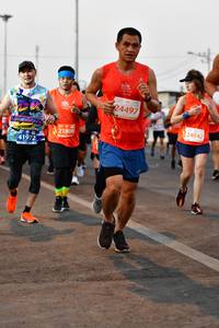 BIB: 24497, 24042, 21808, 41972
                            <button type="button" onclick="openModal(12430970)" class="btn btn-primary btn-sm float-right btn-popup" data-toggle="modal" data-target=".modal-high-quality">
                        <i class="fas fa-shopping-cart"></i> Add to Cart
                    </button>
                                            <button type="button" onclick="isThisMe(12430970, true)" class="btn btn-success btn-sm float-right btn-popup btn-isme hidden" data-toggle="tooltip" data-placement="bottom" title="นี่คือรูปของคุณใช่ไหม คลิกที่นี่เพื่อเอาเข้าอัลบั้ม">
                        <i class="fas fa-plus"></i> Add to album
                    </button>
                    <button type="button" onclick="isThisMe(12430970, false)" class="btn btn-warning btn-sm float-right btn-popup btn-isnotme hidden">
                        <i class="fas fa-ban"></i> Remove from album
                    </button>