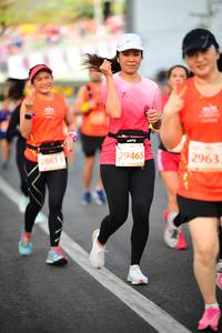 BIB: 29465, 2963, 28613
                            <button type="button" onclick="openModal(12021005)" class="btn btn-primary btn-sm float-right btn-popup" data-toggle="modal" data-target=".modal-high-quality">
                        <i class="fas fa-shopping-cart"></i> Add to Cart
                    </button>
                                            <button type="button" onclick="isThisMe(12021005, true)" class="btn btn-success btn-sm float-right btn-popup btn-isme hidden" data-toggle="tooltip" data-placement="bottom" title="นี่คือรูปของคุณใช่ไหม คลิกที่นี่เพื่อเอาเข้าอัลบั้ม">
                        <i class="fas fa-plus"></i> Add to album
                    </button>
                    <button type="button" onclick="isThisMe(12021005, false)" class="btn btn-warning btn-sm float-right btn-popup btn-isnotme hidden">
                        <i class="fas fa-ban"></i> Remove from album
                    </button>