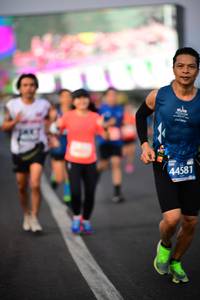BIB: 44581
                            <button type="button" onclick="openModal(12480838)" class="btn btn-primary btn-sm float-right btn-popup" data-toggle="modal" data-target=".modal-high-quality">
                        <i class="fas fa-shopping-cart"></i> Add to Cart
                    </button>
                                            <button type="button" onclick="isThisMe(12480838, true)" class="btn btn-success btn-sm float-right btn-popup btn-isme hidden" data-toggle="tooltip" data-placement="bottom" title="นี่คือรูปของคุณใช่ไหม คลิกที่นี่เพื่อเอาเข้าอัลบั้ม">
                        <i class="fas fa-plus"></i> Add to album
                    </button>
                    <button type="button" onclick="isThisMe(12480838, false)" class="btn btn-warning btn-sm float-right btn-popup btn-isnotme hidden">
                        <i class="fas fa-ban"></i> Remove from album
                    </button>