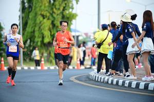 BIB: 83203, 28256
                            <button type="button" onclick="openModal(11684724)" class="btn btn-primary btn-sm float-right btn-popup" data-toggle="modal" data-target=".modal-high-quality">
                        <i class="fas fa-shopping-cart"></i> Add to Cart
                    </button>
                                            <button type="button" onclick="isThisMe(11684724, true)" class="btn btn-success btn-sm float-right btn-popup btn-isme hidden" data-toggle="tooltip" data-placement="bottom" title="นี่คือรูปของคุณใช่ไหม คลิกที่นี่เพื่อเอาเข้าอัลบั้ม">
                        <i class="fas fa-plus"></i> Add to album
                    </button>
                    <button type="button" onclick="isThisMe(11684724, false)" class="btn btn-warning btn-sm float-right btn-popup btn-isnotme hidden">
                        <i class="fas fa-ban"></i> Remove from album
                    </button>