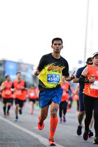 BIB: 45492, 295
                            <button type="button" onclick="openModal(10743172)" class="btn btn-primary btn-sm float-right btn-popup" data-toggle="modal" data-target=".modal-high-quality">
                        <i class="fas fa-shopping-cart"></i> Add to Cart
                    </button>
                                            <button type="button" onclick="isThisMe(10743172, true)" class="btn btn-success btn-sm float-right btn-popup btn-isme hidden" data-toggle="tooltip" data-placement="bottom" title="นี่คือรูปของคุณใช่ไหม คลิกที่นี่เพื่อเอาเข้าอัลบั้ม">
                        <i class="fas fa-plus"></i> Add to album
                    </button>
                    <button type="button" onclick="isThisMe(10743172, false)" class="btn btn-warning btn-sm float-right btn-popup btn-isnotme hidden">
                        <i class="fas fa-ban"></i> Remove from album
                    </button>