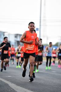 BIB: 26492, 
                            <button type="button" onclick="openModal(10697889)" class="btn btn-primary btn-sm float-right btn-popup" data-toggle="modal" data-target=".modal-high-quality">
                        <i class="fas fa-shopping-cart"></i> Add to Cart
                    </button>
                                            <button type="button" onclick="isThisMe(10697889, true)" class="btn btn-success btn-sm float-right btn-popup btn-isme hidden" data-toggle="tooltip" data-placement="bottom" title="นี่คือรูปของคุณใช่ไหม คลิกที่นี่เพื่อเอาเข้าอัลบั้ม">
                        <i class="fas fa-plus"></i> Add to album
                    </button>
                    <button type="button" onclick="isThisMe(10697889, false)" class="btn btn-warning btn-sm float-right btn-popup btn-isnotme hidden">
                        <i class="fas fa-ban"></i> Remove from album
                    </button>