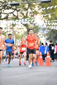 BIB: 393, 25944, 2011, 2864
                            <button type="button" onclick="openModal(11082826)" class="btn btn-primary btn-sm float-right btn-popup" data-toggle="modal" data-target=".modal-high-quality">
                        <i class="fas fa-shopping-cart"></i> Add to Cart
                    </button>
                                            <button type="button" onclick="isThisMe(11082826, true)" class="btn btn-success btn-sm float-right btn-popup btn-isme hidden" data-toggle="tooltip" data-placement="bottom" title="นี่คือรูปของคุณใช่ไหม คลิกที่นี่เพื่อเอาเข้าอัลบั้ม">
                        <i class="fas fa-plus"></i> Add to album
                    </button>
                    <button type="button" onclick="isThisMe(11082826, false)" class="btn btn-warning btn-sm float-right btn-popup btn-isnotme hidden">
                        <i class="fas fa-ban"></i> Remove from album
                    </button>