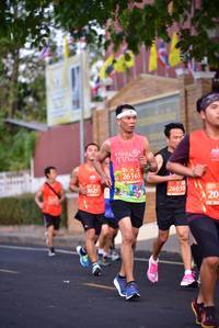 BIB: 26165, 26030, 2627
                            <button type="button" onclick="openModal(11289291)" class="btn btn-primary btn-sm float-right btn-popup" data-toggle="modal" data-target=".modal-high-quality">
                        <i class="fas fa-shopping-cart"></i> Add to Cart
                    </button>
                                            <button type="button" onclick="isThisMe(11289291, true)" class="btn btn-success btn-sm float-right btn-popup btn-isme hidden" data-toggle="tooltip" data-placement="bottom" title="นี่คือรูปของคุณใช่ไหม คลิกที่นี่เพื่อเอาเข้าอัลบั้ม">
                        <i class="fas fa-plus"></i> Add to album
                    </button>
                    <button type="button" onclick="isThisMe(11289291, false)" class="btn btn-warning btn-sm float-right btn-popup btn-isnotme hidden">
                        <i class="fas fa-ban"></i> Remove from album
                    </button>