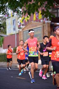 BIB: 26165, 2627, 26030
                            <button type="button" onclick="openModal(11289197)" class="btn btn-primary btn-sm float-right btn-popup" data-toggle="modal" data-target=".modal-high-quality">
                        <i class="fas fa-shopping-cart"></i> Add to Cart
                    </button>
                                            <button type="button" onclick="isThisMe(11289197, true)" class="btn btn-success btn-sm float-right btn-popup btn-isme hidden" data-toggle="tooltip" data-placement="bottom" title="นี่คือรูปของคุณใช่ไหม คลิกที่นี่เพื่อเอาเข้าอัลบั้ม">
                        <i class="fas fa-plus"></i> Add to album
                    </button>
                    <button type="button" onclick="isThisMe(11289197, false)" class="btn btn-warning btn-sm float-right btn-popup btn-isnotme hidden">
                        <i class="fas fa-ban"></i> Remove from album
                    </button>