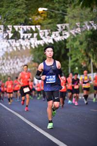 BIB: 44807
                            <button type="button" onclick="openModal(11288932)" class="btn btn-primary btn-sm float-right btn-popup" data-toggle="modal" data-target=".modal-high-quality">
                        <i class="fas fa-shopping-cart"></i> Add to Cart
                    </button>
                                            <button type="button" onclick="isThisMe(11288932, true)" class="btn btn-success btn-sm float-right btn-popup btn-isme hidden" data-toggle="tooltip" data-placement="bottom" title="นี่คือรูปของคุณใช่ไหม คลิกที่นี่เพื่อเอาเข้าอัลบั้ม">
                        <i class="fas fa-plus"></i> Add to album
                    </button>
                    <button type="button" onclick="isThisMe(11288932, false)" class="btn btn-warning btn-sm float-right btn-popup btn-isnotme hidden">
                        <i class="fas fa-ban"></i> Remove from album
                    </button>