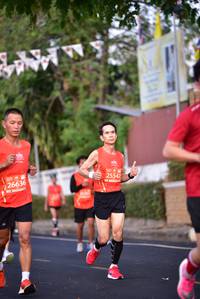 BIB: 25542, 26636
                            <button type="button" onclick="openModal(11293093)" class="btn btn-primary btn-sm float-right btn-popup" data-toggle="modal" data-target=".modal-high-quality">
                        <i class="fas fa-shopping-cart"></i> Add to Cart
                    </button>
                                            <button type="button" onclick="isThisMe(11293093, true)" class="btn btn-success btn-sm float-right btn-popup btn-isme hidden" data-toggle="tooltip" data-placement="bottom" title="นี่คือรูปของคุณใช่ไหม คลิกที่นี่เพื่อเอาเข้าอัลบั้ม">
                        <i class="fas fa-plus"></i> Add to album
                    </button>
                    <button type="button" onclick="isThisMe(11293093, false)" class="btn btn-warning btn-sm float-right btn-popup btn-isnotme hidden">
                        <i class="fas fa-ban"></i> Remove from album
                    </button>