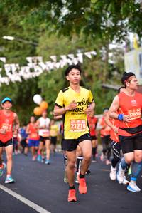 BIB: 01224, 27856, 2011, 21710
                            <button type="button" onclick="openModal(11300203)" class="btn btn-primary btn-sm float-right btn-popup" data-toggle="modal" data-target=".modal-high-quality">
                        <i class="fas fa-shopping-cart"></i> Add to Cart
                    </button>
                                            <button type="button" onclick="isThisMe(11300203, true)" class="btn btn-success btn-sm float-right btn-popup btn-isme hidden" data-toggle="tooltip" data-placement="bottom" title="นี่คือรูปของคุณใช่ไหม คลิกที่นี่เพื่อเอาเข้าอัลบั้ม">
                        <i class="fas fa-plus"></i> Add to album
                    </button>
                    <button type="button" onclick="isThisMe(11300203, false)" class="btn btn-warning btn-sm float-right btn-popup btn-isnotme hidden">
                        <i class="fas fa-ban"></i> Remove from album
                    </button>