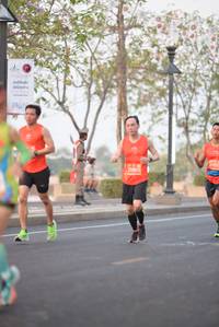 BIB: 2701, 25805
                            <button type="button" onclick="openModal(12070149)" class="btn btn-primary btn-sm float-right btn-popup" data-toggle="modal" data-target=".modal-high-quality">
                        <i class="fas fa-shopping-cart"></i> Add to Cart
                    </button>
                                            <button type="button" onclick="isThisMe(12070149, true)" class="btn btn-success btn-sm float-right btn-popup btn-isme hidden" data-toggle="tooltip" data-placement="bottom" title="นี่คือรูปของคุณใช่ไหม คลิกที่นี่เพื่อเอาเข้าอัลบั้ม">
                        <i class="fas fa-plus"></i> Add to album
                    </button>
                    <button type="button" onclick="isThisMe(12070149, false)" class="btn btn-warning btn-sm float-right btn-popup btn-isnotme hidden">
                        <i class="fas fa-ban"></i> Remove from album
                    </button>