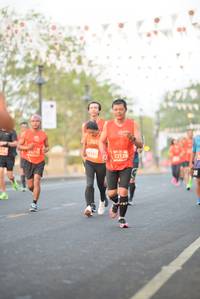 BIB: 08161, 22128
                            <button type="button" onclick="openModal(12090564)" class="btn btn-primary btn-sm float-right btn-popup" data-toggle="modal" data-target=".modal-high-quality">
                        <i class="fas fa-shopping-cart"></i> Add to Cart
                    </button>
                                            <button type="button" onclick="isThisMe(12090564, true)" class="btn btn-success btn-sm float-right btn-popup btn-isme hidden" data-toggle="tooltip" data-placement="bottom" title="นี่คือรูปของคุณใช่ไหม คลิกที่นี่เพื่อเอาเข้าอัลบั้ม">
                        <i class="fas fa-plus"></i> Add to album
                    </button>
                    <button type="button" onclick="isThisMe(12090564, false)" class="btn btn-warning btn-sm float-right btn-popup btn-isnotme hidden">
                        <i class="fas fa-ban"></i> Remove from album
                    </button>