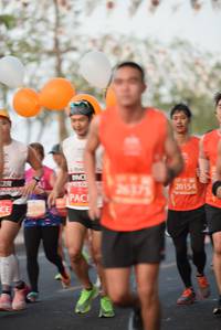 BIB: 20154
                            <button type="button" onclick="openModal(12095601)" class="btn btn-primary btn-sm float-right btn-popup" data-toggle="modal" data-target=".modal-high-quality">
                        <i class="fas fa-shopping-cart"></i> Add to Cart
                    </button>
                                            <button type="button" onclick="isThisMe(12095601, true)" class="btn btn-success btn-sm float-right btn-popup btn-isme hidden" data-toggle="tooltip" data-placement="bottom" title="นี่คือรูปของคุณใช่ไหม คลิกที่นี่เพื่อเอาเข้าอัลบั้ม">
                        <i class="fas fa-plus"></i> Add to album
                    </button>
                    <button type="button" onclick="isThisMe(12095601, false)" class="btn btn-warning btn-sm float-right btn-popup btn-isnotme hidden">
                        <i class="fas fa-ban"></i> Remove from album
                    </button>