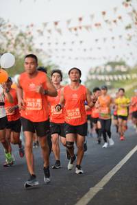 BIB: 26375, 20717
                            <button type="button" onclick="openModal(12095543)" class="btn btn-primary btn-sm float-right btn-popup" data-toggle="modal" data-target=".modal-high-quality">
                        <i class="fas fa-shopping-cart"></i> Add to Cart
                    </button>
                                            <button type="button" onclick="isThisMe(12095543, true)" class="btn btn-success btn-sm float-right btn-popup btn-isme hidden" data-toggle="tooltip" data-placement="bottom" title="นี่คือรูปของคุณใช่ไหม คลิกที่นี่เพื่อเอาเข้าอัลบั้ม">
                        <i class="fas fa-plus"></i> Add to album
                    </button>
                    <button type="button" onclick="isThisMe(12095543, false)" class="btn btn-warning btn-sm float-right btn-popup btn-isnotme hidden">
                        <i class="fas fa-ban"></i> Remove from album
                    </button>