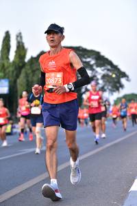 BIB: 20873
                            <button type="button" onclick="openModal(11852485)" class="btn btn-primary btn-sm float-right btn-popup" data-toggle="modal" data-target=".modal-high-quality">
                        <i class="fas fa-shopping-cart"></i> Add to Cart
                    </button>
                                            <button type="button" onclick="isThisMe(11852485, true)" class="btn btn-success btn-sm float-right btn-popup btn-isme hidden" data-toggle="tooltip" data-placement="bottom" title="นี่คือรูปของคุณใช่ไหม คลิกที่นี่เพื่อเอาเข้าอัลบั้ม">
                        <i class="fas fa-plus"></i> Add to album
                    </button>
                    <button type="button" onclick="isThisMe(11852485, false)" class="btn btn-warning btn-sm float-right btn-popup btn-isnotme hidden">
                        <i class="fas fa-ban"></i> Remove from album
                    </button>