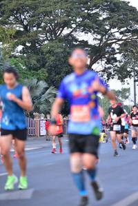 BIB: 
                            <button type="button" onclick="openModal(11861234)" class="btn btn-primary btn-sm float-right btn-popup" data-toggle="modal" data-target=".modal-high-quality">
                        <i class="fas fa-shopping-cart"></i> Add to Cart
                    </button>
                                            <button type="button" onclick="isThisMe(11861234, true)" class="btn btn-success btn-sm float-right btn-popup btn-isme hidden" data-toggle="tooltip" data-placement="bottom" title="นี่คือรูปของคุณใช่ไหม คลิกที่นี่เพื่อเอาเข้าอัลบั้ม">
                        <i class="fas fa-plus"></i> Add to album
                    </button>
                    <button type="button" onclick="isThisMe(11861234, false)" class="btn btn-warning btn-sm float-right btn-popup btn-isnotme hidden">
                        <i class="fas fa-ban"></i> Remove from album
                    </button>