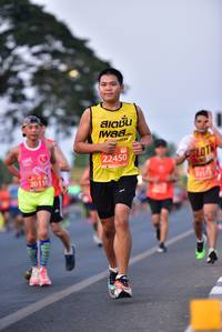 BIB: 22450, 2011
                            <button type="button" onclick="openModal(11941825)" class="btn btn-primary btn-sm float-right btn-popup" data-toggle="modal" data-target=".modal-high-quality">
                        <i class="fas fa-shopping-cart"></i> Add to Cart
                    </button>
                                            <button type="button" onclick="isThisMe(11941825, true)" class="btn btn-success btn-sm float-right btn-popup btn-isme hidden" data-toggle="tooltip" data-placement="bottom" title="นี่คือรูปของคุณใช่ไหม คลิกที่นี่เพื่อเอาเข้าอัลบั้ม">
                        <i class="fas fa-plus"></i> Add to album
                    </button>
                    <button type="button" onclick="isThisMe(11941825, false)" class="btn btn-warning btn-sm float-right btn-popup btn-isnotme hidden">
                        <i class="fas fa-ban"></i> Remove from album
                    </button>