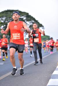 BIB: 26846, 2902
                            <button type="button" onclick="openModal(11940730)" class="btn btn-primary btn-sm float-right btn-popup" data-toggle="modal" data-target=".modal-high-quality">
                        <i class="fas fa-shopping-cart"></i> Add to Cart
                    </button>
                                            <button type="button" onclick="isThisMe(11940730, true)" class="btn btn-success btn-sm float-right btn-popup btn-isme hidden" data-toggle="tooltip" data-placement="bottom" title="นี่คือรูปของคุณใช่ไหม คลิกที่นี่เพื่อเอาเข้าอัลบั้ม">
                        <i class="fas fa-plus"></i> Add to album
                    </button>
                    <button type="button" onclick="isThisMe(11940730, false)" class="btn btn-warning btn-sm float-right btn-popup btn-isnotme hidden">
                        <i class="fas fa-ban"></i> Remove from album
                    </button>