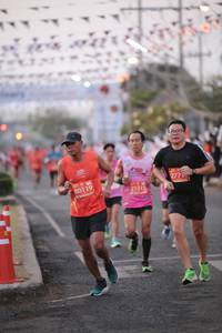 BIB: 277, 80119, 21315
                            <button type="button" onclick="openModal(11495341)" class="btn btn-primary btn-sm float-right btn-popup" data-toggle="modal" data-target=".modal-high-quality">
                        <i class="fas fa-shopping-cart"></i> Add to Cart
                    </button>
                                            <button type="button" onclick="isThisMe(11495341, true)" class="btn btn-success btn-sm float-right btn-popup btn-isme hidden" data-toggle="tooltip" data-placement="bottom" title="นี่คือรูปของคุณใช่ไหม คลิกที่นี่เพื่อเอาเข้าอัลบั้ม">
                        <i class="fas fa-plus"></i> Add to album
                    </button>
                    <button type="button" onclick="isThisMe(11495341, false)" class="btn btn-warning btn-sm float-right btn-popup btn-isnotme hidden">
                        <i class="fas fa-ban"></i> Remove from album
                    </button>