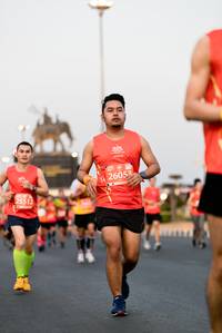 BIB: 26053, 25512
                            <button type="button" onclick="openModal(12092399)" class="btn btn-primary btn-sm float-right btn-popup" data-toggle="modal" data-target=".modal-high-quality">
                        <i class="fas fa-shopping-cart"></i> Add to Cart
                    </button>
                                            <button type="button" onclick="isThisMe(12092399, true)" class="btn btn-success btn-sm float-right btn-popup btn-isme hidden" data-toggle="tooltip" data-placement="bottom" title="นี่คือรูปของคุณใช่ไหม คลิกที่นี่เพื่อเอาเข้าอัลบั้ม">
                        <i class="fas fa-plus"></i> Add to album
                    </button>
                    <button type="button" onclick="isThisMe(12092399, false)" class="btn btn-warning btn-sm float-right btn-popup btn-isnotme hidden">
                        <i class="fas fa-ban"></i> Remove from album
                    </button>