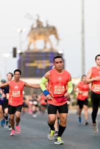 BIB: 210, 27635, 25411
                            <button type="button" onclick="openModal(12065118)" class="btn btn-primary btn-sm float-right btn-popup" data-toggle="modal" data-target=".modal-high-quality">
                        <i class="fas fa-shopping-cart"></i> Add to Cart
                    </button>
                                            <button type="button" onclick="isThisMe(12065118, true)" class="btn btn-success btn-sm float-right btn-popup btn-isme hidden" data-toggle="tooltip" data-placement="bottom" title="นี่คือรูปของคุณใช่ไหม คลิกที่นี่เพื่อเอาเข้าอัลบั้ม">
                        <i class="fas fa-plus"></i> Add to album
                    </button>
                    <button type="button" onclick="isThisMe(12065118, false)" class="btn btn-warning btn-sm float-right btn-popup btn-isnotme hidden">
                        <i class="fas fa-ban"></i> Remove from album
                    </button>