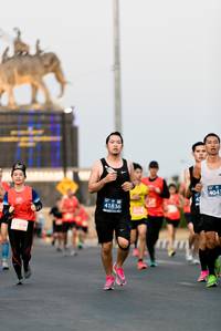BIB: 4043, 41836, 478
                            <button type="button" onclick="openModal(12064532)" class="btn btn-primary btn-sm float-right btn-popup" data-toggle="modal" data-target=".modal-high-quality">
                        <i class="fas fa-shopping-cart"></i> Add to Cart
                    </button>
                                            <button type="button" onclick="isThisMe(12064532, true)" class="btn btn-success btn-sm float-right btn-popup btn-isme hidden" data-toggle="tooltip" data-placement="bottom" title="นี่คือรูปของคุณใช่ไหม คลิกที่นี่เพื่อเอาเข้าอัลบั้ม">
                        <i class="fas fa-plus"></i> Add to album
                    </button>
                    <button type="button" onclick="isThisMe(12064532, false)" class="btn btn-warning btn-sm float-right btn-popup btn-isnotme hidden">
                        <i class="fas fa-ban"></i> Remove from album
                    </button>