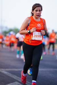 BIB: 28997
                            <button type="button" onclick="openModal(11650028)" class="btn btn-primary btn-sm float-right btn-popup" data-toggle="modal" data-target=".modal-high-quality">
                        <i class="fas fa-shopping-cart"></i> Add to Cart
                    </button>
                                            <button type="button" onclick="isThisMe(11650028, true)" class="btn btn-success btn-sm float-right btn-popup btn-isme hidden" data-toggle="tooltip" data-placement="bottom" title="นี่คือรูปของคุณใช่ไหม คลิกที่นี่เพื่อเอาเข้าอัลบั้ม">
                        <i class="fas fa-plus"></i> Add to album
                    </button>
                    <button type="button" onclick="isThisMe(11650028, false)" class="btn btn-warning btn-sm float-right btn-popup btn-isnotme hidden">
                        <i class="fas fa-ban"></i> Remove from album
                    </button>