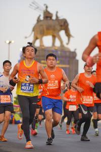 BIB: 26621, 40371, 21602, 25942
                            <button type="button" onclick="openModal(11926803)" class="btn btn-primary btn-sm float-right btn-popup" data-toggle="modal" data-target=".modal-high-quality">
                        <i class="fas fa-shopping-cart"></i> Add to Cart
                    </button>
                                            <button type="button" onclick="isThisMe(11926803, true)" class="btn btn-success btn-sm float-right btn-popup btn-isme hidden" data-toggle="tooltip" data-placement="bottom" title="นี่คือรูปของคุณใช่ไหม คลิกที่นี่เพื่อเอาเข้าอัลบั้ม">
                        <i class="fas fa-plus"></i> Add to album
                    </button>
                    <button type="button" onclick="isThisMe(11926803, false)" class="btn btn-warning btn-sm float-right btn-popup btn-isnotme hidden">
                        <i class="fas fa-ban"></i> Remove from album
                    </button>