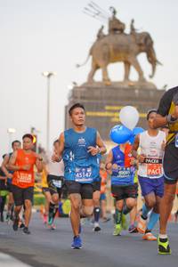 BIB: 40085, 45147, 422124
                            <button type="button" onclick="openModal(11958674)" class="btn btn-primary btn-sm float-right btn-popup" data-toggle="modal" data-target=".modal-high-quality">
                        <i class="fas fa-shopping-cart"></i> Add to Cart
                    </button>
                                            <button type="button" onclick="isThisMe(11958674, true)" class="btn btn-success btn-sm float-right btn-popup btn-isme hidden" data-toggle="tooltip" data-placement="bottom" title="นี่คือรูปของคุณใช่ไหม คลิกที่นี่เพื่อเอาเข้าอัลบั้ม">
                        <i class="fas fa-plus"></i> Add to album
                    </button>
                    <button type="button" onclick="isThisMe(11958674, false)" class="btn btn-warning btn-sm float-right btn-popup btn-isnotme hidden">
                        <i class="fas fa-ban"></i> Remove from album
                    </button>