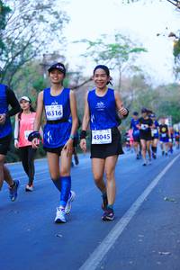 BIB: 46316, 43045
                            <button type="button" onclick="openModal(12136311)" class="btn btn-primary btn-sm float-right btn-popup" data-toggle="modal" data-target=".modal-high-quality">
                        <i class="fas fa-shopping-cart"></i> Add to Cart
                    </button>
                                            <button type="button" onclick="isThisMe(12136311, true)" class="btn btn-success btn-sm float-right btn-popup btn-isme hidden" data-toggle="tooltip" data-placement="bottom" title="นี่คือรูปของคุณใช่ไหม คลิกที่นี่เพื่อเอาเข้าอัลบั้ม">
                        <i class="fas fa-plus"></i> Add to album
                    </button>
                    <button type="button" onclick="isThisMe(12136311, false)" class="btn btn-warning btn-sm float-right btn-popup btn-isnotme hidden">
                        <i class="fas fa-ban"></i> Remove from album
                    </button>