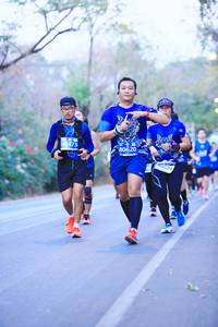 BIB: 80620, 40473, 624
                            <button type="button" onclick="openModal(11379810)" class="btn btn-primary btn-sm float-right btn-popup" data-toggle="modal" data-target=".modal-high-quality">
                        <i class="fas fa-shopping-cart"></i> Add to Cart
                    </button>
                                            <button type="button" onclick="isThisMe(11379810, true)" class="btn btn-success btn-sm float-right btn-popup btn-isme hidden" data-toggle="tooltip" data-placement="bottom" title="นี่คือรูปของคุณใช่ไหม คลิกที่นี่เพื่อเอาเข้าอัลบั้ม">
                        <i class="fas fa-plus"></i> Add to album
                    </button>
                    <button type="button" onclick="isThisMe(11379810, false)" class="btn btn-warning btn-sm float-right btn-popup btn-isnotme hidden">
                        <i class="fas fa-ban"></i> Remove from album
                    </button>