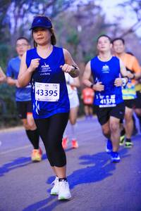 BIB: 43395, 41378
                            <button type="button" onclick="openModal(11270405)" class="btn btn-primary btn-sm float-right btn-popup" data-toggle="modal" data-target=".modal-high-quality">
                        <i class="fas fa-shopping-cart"></i> Add to Cart
                    </button>
                                            <button type="button" onclick="isThisMe(11270405, true)" class="btn btn-success btn-sm float-right btn-popup btn-isme hidden" data-toggle="tooltip" data-placement="bottom" title="นี่คือรูปของคุณใช่ไหม คลิกที่นี่เพื่อเอาเข้าอัลบั้ม">
                        <i class="fas fa-plus"></i> Add to album
                    </button>
                    <button type="button" onclick="isThisMe(11270405, false)" class="btn btn-warning btn-sm float-right btn-popup btn-isnotme hidden">
                        <i class="fas fa-ban"></i> Remove from album
                    </button>