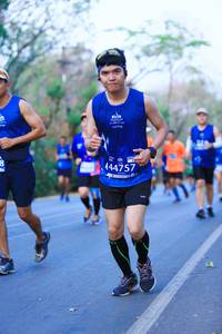 BIB: 444757
                            <button type="button" onclick="openModal(12140147)" class="btn btn-primary btn-sm float-right btn-popup" data-toggle="modal" data-target=".modal-high-quality">
                        <i class="fas fa-shopping-cart"></i> Add to Cart
                    </button>
                                            <button type="button" onclick="isThisMe(12140147, true)" class="btn btn-success btn-sm float-right btn-popup btn-isme hidden" data-toggle="tooltip" data-placement="bottom" title="นี่คือรูปของคุณใช่ไหม คลิกที่นี่เพื่อเอาเข้าอัลบั้ม">
                        <i class="fas fa-plus"></i> Add to album
                    </button>
                    <button type="button" onclick="isThisMe(12140147, false)" class="btn btn-warning btn-sm float-right btn-popup btn-isnotme hidden">
                        <i class="fas fa-ban"></i> Remove from album
                    </button>