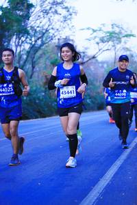 BIB: 44025, 43441, 44698
                            <button type="button" onclick="openModal(11341240)" class="btn btn-primary btn-sm float-right btn-popup" data-toggle="modal" data-target=".modal-high-quality">
                        <i class="fas fa-shopping-cart"></i> Add to Cart
                    </button>
                                            <button type="button" onclick="isThisMe(11341240, true)" class="btn btn-success btn-sm float-right btn-popup btn-isme hidden" data-toggle="tooltip" data-placement="bottom" title="นี่คือรูปของคุณใช่ไหม คลิกที่นี่เพื่อเอาเข้าอัลบั้ม">
                        <i class="fas fa-plus"></i> Add to album
                    </button>
                    <button type="button" onclick="isThisMe(11341240, false)" class="btn btn-warning btn-sm float-right btn-popup btn-isnotme hidden">
                        <i class="fas fa-ban"></i> Remove from album
                    </button>