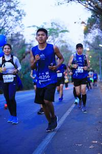BIB: 43468, 45256
                            <button type="button" onclick="openModal(11345240)" class="btn btn-primary btn-sm float-right btn-popup" data-toggle="modal" data-target=".modal-high-quality">
                        <i class="fas fa-shopping-cart"></i> Add to Cart
                    </button>
                                            <button type="button" onclick="isThisMe(11345240, true)" class="btn btn-success btn-sm float-right btn-popup btn-isme hidden" data-toggle="tooltip" data-placement="bottom" title="นี่คือรูปของคุณใช่ไหม คลิกที่นี่เพื่อเอาเข้าอัลบั้ม">
                        <i class="fas fa-plus"></i> Add to album
                    </button>
                    <button type="button" onclick="isThisMe(11345240, false)" class="btn btn-warning btn-sm float-right btn-popup btn-isnotme hidden">
                        <i class="fas fa-ban"></i> Remove from album
                    </button>