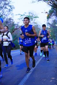 BIB: 42066, 45256, 43468
                            <button type="button" onclick="openModal(11345228)" class="btn btn-primary btn-sm float-right btn-popup" data-toggle="modal" data-target=".modal-high-quality">
                        <i class="fas fa-shopping-cart"></i> Add to Cart
                    </button>
                                            <button type="button" onclick="isThisMe(11345228, true)" class="btn btn-success btn-sm float-right btn-popup btn-isme hidden" data-toggle="tooltip" data-placement="bottom" title="นี่คือรูปของคุณใช่ไหม คลิกที่นี่เพื่อเอาเข้าอัลบั้ม">
                        <i class="fas fa-plus"></i> Add to album
                    </button>
                    <button type="button" onclick="isThisMe(11345228, false)" class="btn btn-warning btn-sm float-right btn-popup btn-isnotme hidden">
                        <i class="fas fa-ban"></i> Remove from album
                    </button>