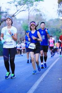 BIB: 725, 43520, 46023
                            <button type="button" onclick="openModal(11353229)" class="btn btn-primary btn-sm float-right btn-popup" data-toggle="modal" data-target=".modal-high-quality">
                        <i class="fas fa-shopping-cart"></i> Add to Cart
                    </button>
                                            <button type="button" onclick="isThisMe(11353229, true)" class="btn btn-success btn-sm float-right btn-popup btn-isme hidden" data-toggle="tooltip" data-placement="bottom" title="นี่คือรูปของคุณใช่ไหม คลิกที่นี่เพื่อเอาเข้าอัลบั้ม">
                        <i class="fas fa-plus"></i> Add to album
                    </button>
                    <button type="button" onclick="isThisMe(11353229, false)" class="btn btn-warning btn-sm float-right btn-popup btn-isnotme hidden">
                        <i class="fas fa-ban"></i> Remove from album
                    </button>