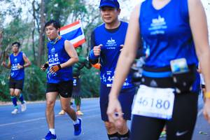 BIB: 45245, 180
                            <button type="button" onclick="openModal(12139673)" class="btn btn-primary btn-sm float-right btn-popup" data-toggle="modal" data-target=".modal-high-quality">
                        <i class="fas fa-shopping-cart"></i> Add to Cart
                    </button>
                                            <button type="button" onclick="isThisMe(12139673, true)" class="btn btn-success btn-sm float-right btn-popup btn-isme hidden" data-toggle="tooltip" data-placement="bottom" title="นี่คือรูปของคุณใช่ไหม คลิกที่นี่เพื่อเอาเข้าอัลบั้ม">
                        <i class="fas fa-plus"></i> Add to album
                    </button>
                    <button type="button" onclick="isThisMe(12139673, false)" class="btn btn-warning btn-sm float-right btn-popup btn-isnotme hidden">
                        <i class="fas fa-ban"></i> Remove from album
                    </button>