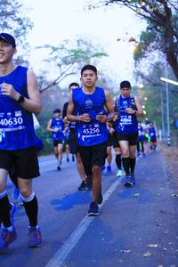 BIB: 40630, 42066, 45256
                            <button type="button" onclick="openModal(11345221)" class="btn btn-primary btn-sm float-right btn-popup" data-toggle="modal" data-target=".modal-high-quality">
                        <i class="fas fa-shopping-cart"></i> Add to Cart
                    </button>
                                            <button type="button" onclick="isThisMe(11345221, true)" class="btn btn-success btn-sm float-right btn-popup btn-isme hidden" data-toggle="tooltip" data-placement="bottom" title="นี่คือรูปของคุณใช่ไหม คลิกที่นี่เพื่อเอาเข้าอัลบั้ม">
                        <i class="fas fa-plus"></i> Add to album
                    </button>
                    <button type="button" onclick="isThisMe(11345221, false)" class="btn btn-warning btn-sm float-right btn-popup btn-isnotme hidden">
                        <i class="fas fa-ban"></i> Remove from album
                    </button>