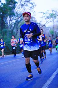 BIB: 42267
                            <button type="button" onclick="openModal(11340561)" class="btn btn-primary btn-sm float-right btn-popup" data-toggle="modal" data-target=".modal-high-quality">
                        <i class="fas fa-shopping-cart"></i> Add to Cart
                    </button>
                                            <button type="button" onclick="isThisMe(11340561, true)" class="btn btn-success btn-sm float-right btn-popup btn-isme hidden" data-toggle="tooltip" data-placement="bottom" title="นี่คือรูปของคุณใช่ไหม คลิกที่นี่เพื่อเอาเข้าอัลบั้ม">
                        <i class="fas fa-plus"></i> Add to album
                    </button>
                    <button type="button" onclick="isThisMe(11340561, false)" class="btn btn-warning btn-sm float-right btn-popup btn-isnotme hidden">
                        <i class="fas fa-ban"></i> Remove from album
                    </button>
