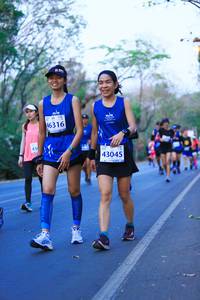 BIB: 46316, 436, 43045
                            <button type="button" onclick="openModal(12136323)" class="btn btn-primary btn-sm float-right btn-popup" data-toggle="modal" data-target=".modal-high-quality">
                        <i class="fas fa-shopping-cart"></i> Add to Cart
                    </button>
                                            <button type="button" onclick="isThisMe(12136323, true)" class="btn btn-success btn-sm float-right btn-popup btn-isme hidden" data-toggle="tooltip" data-placement="bottom" title="นี่คือรูปของคุณใช่ไหม คลิกที่นี่เพื่อเอาเข้าอัลบั้ม">
                        <i class="fas fa-plus"></i> Add to album
                    </button>
                    <button type="button" onclick="isThisMe(12136323, false)" class="btn btn-warning btn-sm float-right btn-popup btn-isnotme hidden">
                        <i class="fas fa-ban"></i> Remove from album
                    </button>