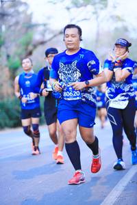 BIB: 80620
                            <button type="button" onclick="openModal(11380210)" class="btn btn-primary btn-sm float-right btn-popup" data-toggle="modal" data-target=".modal-high-quality">
                        <i class="fas fa-shopping-cart"></i> Add to Cart
                    </button>
                                            <button type="button" onclick="isThisMe(11380210, true)" class="btn btn-success btn-sm float-right btn-popup btn-isme hidden" data-toggle="tooltip" data-placement="bottom" title="นี่คือรูปของคุณใช่ไหม คลิกที่นี่เพื่อเอาเข้าอัลบั้ม">
                        <i class="fas fa-plus"></i> Add to album
                    </button>
                    <button type="button" onclick="isThisMe(11380210, false)" class="btn btn-warning btn-sm float-right btn-popup btn-isnotme hidden">
                        <i class="fas fa-ban"></i> Remove from album
                    </button>