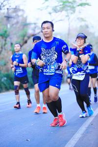 BIB: 80620, 4144, 0624
                            <button type="button" onclick="openModal(11380233)" class="btn btn-primary btn-sm float-right btn-popup" data-toggle="modal" data-target=".modal-high-quality">
                        <i class="fas fa-shopping-cart"></i> Add to Cart
                    </button>
                                            <button type="button" onclick="isThisMe(11380233, true)" class="btn btn-success btn-sm float-right btn-popup btn-isme hidden" data-toggle="tooltip" data-placement="bottom" title="นี่คือรูปของคุณใช่ไหม คลิกที่นี่เพื่อเอาเข้าอัลบั้ม">
                        <i class="fas fa-plus"></i> Add to album
                    </button>
                    <button type="button" onclick="isThisMe(11380233, false)" class="btn btn-warning btn-sm float-right btn-popup btn-isnotme hidden">
                        <i class="fas fa-ban"></i> Remove from album
                    </button>
