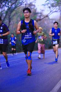 BIB: 44877, 210
                            <button type="button" onclick="openModal(11280858)" class="btn btn-primary btn-sm float-right btn-popup" data-toggle="modal" data-target=".modal-high-quality">
                        <i class="fas fa-shopping-cart"></i> Add to Cart
                    </button>
                                            <button type="button" onclick="isThisMe(11280858, true)" class="btn btn-success btn-sm float-right btn-popup btn-isme hidden" data-toggle="tooltip" data-placement="bottom" title="นี่คือรูปของคุณใช่ไหม คลิกที่นี่เพื่อเอาเข้าอัลบั้ม">
                        <i class="fas fa-plus"></i> Add to album
                    </button>
                    <button type="button" onclick="isThisMe(11280858, false)" class="btn btn-warning btn-sm float-right btn-popup btn-isnotme hidden">
                        <i class="fas fa-ban"></i> Remove from album
                    </button>