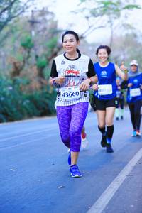 BIB: 43163, 43660
                            <button type="button" onclick="openModal(11386140)" class="btn btn-primary btn-sm float-right btn-popup" data-toggle="modal" data-target=".modal-high-quality">
                        <i class="fas fa-shopping-cart"></i> Add to Cart
                    </button>
                                            <button type="button" onclick="isThisMe(11386140, true)" class="btn btn-success btn-sm float-right btn-popup btn-isme hidden" data-toggle="tooltip" data-placement="bottom" title="นี่คือรูปของคุณใช่ไหม คลิกที่นี่เพื่อเอาเข้าอัลบั้ม">
                        <i class="fas fa-plus"></i> Add to album
                    </button>
                    <button type="button" onclick="isThisMe(11386140, false)" class="btn btn-warning btn-sm float-right btn-popup btn-isnotme hidden">
                        <i class="fas fa-ban"></i> Remove from album
                    </button>