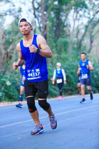 BIB: 44337
                            <button type="button" onclick="openModal(12140324)" class="btn btn-primary btn-sm float-right btn-popup" data-toggle="modal" data-target=".modal-high-quality">
                        <i class="fas fa-shopping-cart"></i> Add to Cart
                    </button>
                                            <button type="button" onclick="isThisMe(12140324, true)" class="btn btn-success btn-sm float-right btn-popup btn-isme hidden" data-toggle="tooltip" data-placement="bottom" title="นี่คือรูปของคุณใช่ไหม คลิกที่นี่เพื่อเอาเข้าอัลบั้ม">
                        <i class="fas fa-plus"></i> Add to album
                    </button>
                    <button type="button" onclick="isThisMe(12140324, false)" class="btn btn-warning btn-sm float-right btn-popup btn-isnotme hidden">
                        <i class="fas fa-ban"></i> Remove from album
                    </button>