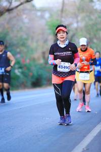 BIB: 43490, 41216
                            <button type="button" onclick="openModal(12149676)" class="btn btn-primary btn-sm float-right btn-popup" data-toggle="modal" data-target=".modal-high-quality">
                        <i class="fas fa-shopping-cart"></i> Add to Cart
                    </button>
                                            <button type="button" onclick="isThisMe(12149676, true)" class="btn btn-success btn-sm float-right btn-popup btn-isme hidden" data-toggle="tooltip" data-placement="bottom" title="นี่คือรูปของคุณใช่ไหม คลิกที่นี่เพื่อเอาเข้าอัลบั้ม">
                        <i class="fas fa-plus"></i> Add to album
                    </button>
                    <button type="button" onclick="isThisMe(12149676, false)" class="btn btn-warning btn-sm float-right btn-popup btn-isnotme hidden">
                        <i class="fas fa-ban"></i> Remove from album
                    </button>