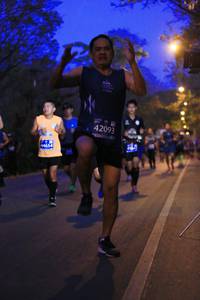 BIB: 42093, 44654
                            <button type="button" onclick="openModal(10623330)" class="btn btn-primary btn-sm float-right btn-popup" data-toggle="modal" data-target=".modal-high-quality">
                        <i class="fas fa-shopping-cart"></i> Add to Cart
                    </button>
                                            <button type="button" onclick="isThisMe(10623330, true)" class="btn btn-success btn-sm float-right btn-popup btn-isme hidden" data-toggle="tooltip" data-placement="bottom" title="นี่คือรูปของคุณใช่ไหม คลิกที่นี่เพื่อเอาเข้าอัลบั้ม">
                        <i class="fas fa-plus"></i> Add to album
                    </button>
                    <button type="button" onclick="isThisMe(10623330, false)" class="btn btn-warning btn-sm float-right btn-popup btn-isnotme hidden">
                        <i class="fas fa-ban"></i> Remove from album
                    </button>
